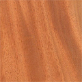 picture%20of%20mahogany.jpg