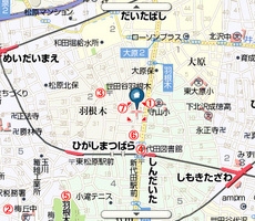 s-hanegiuridashi1.jpg
