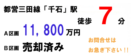 s-kinngakusenngoku.jpg