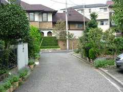 s-kitaminDSCN2165.jpg