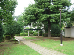 s-kitaminDSCN2176.jpg