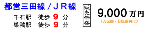 s-senngokusugamo3-t.jpg