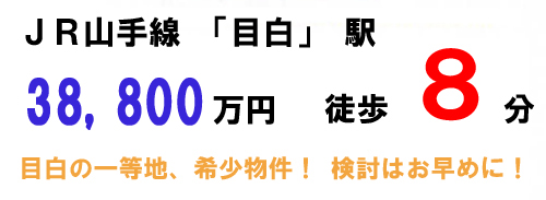 s-simootiaikinngakuairisu.jpg
