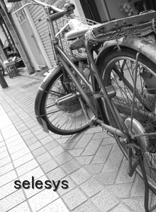 sn-jitennsya0308.jpg